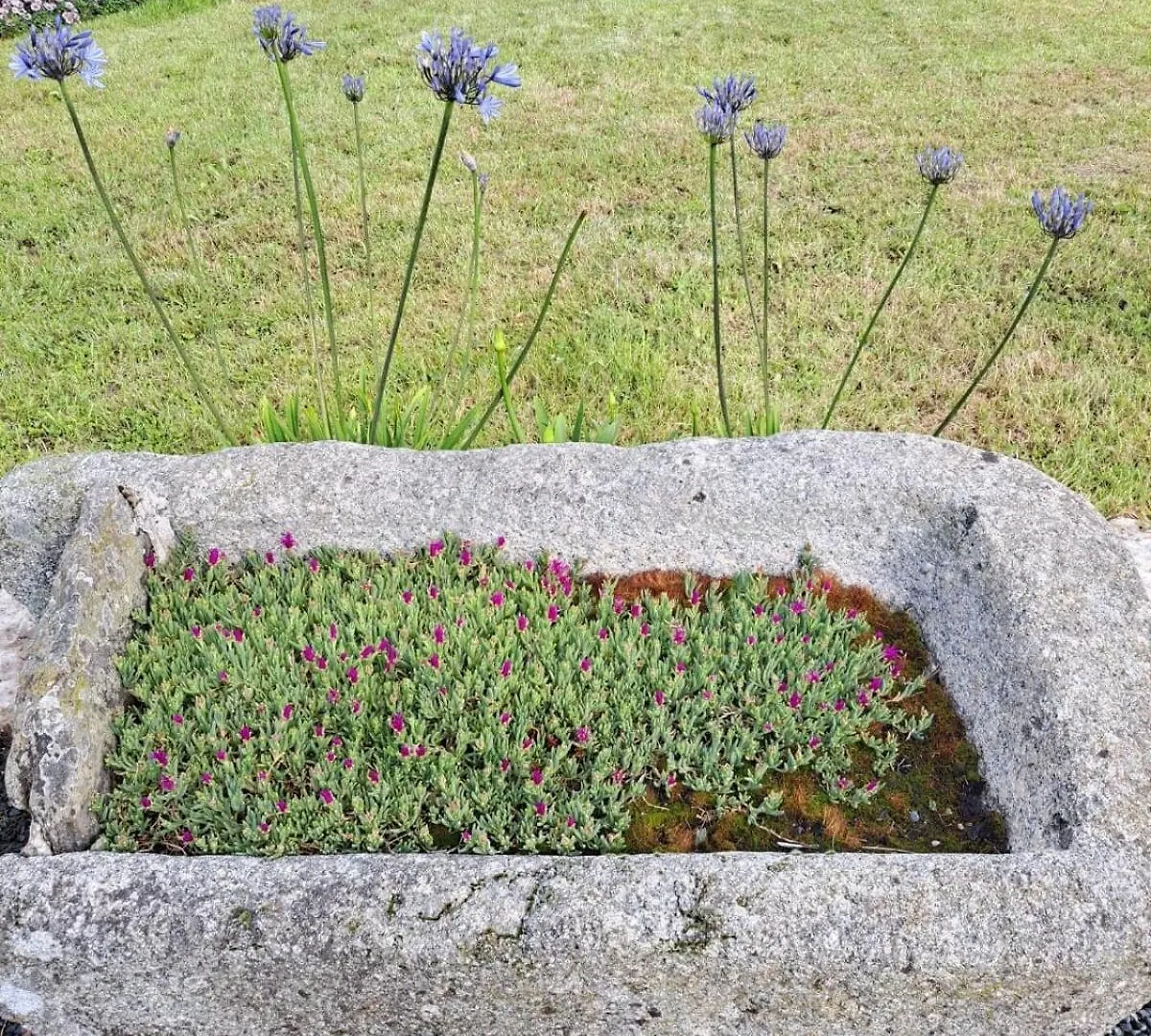 Charmante Demeure Bretonne Plouec-du-Trieux Tatil Evi